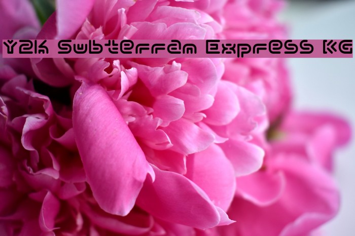 Y2k Subterran Express KG Font examples
