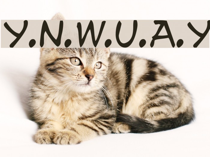 y.n.w.u.a.y Font examples