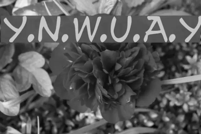 y.n.w.u.a.y Шрифта examples