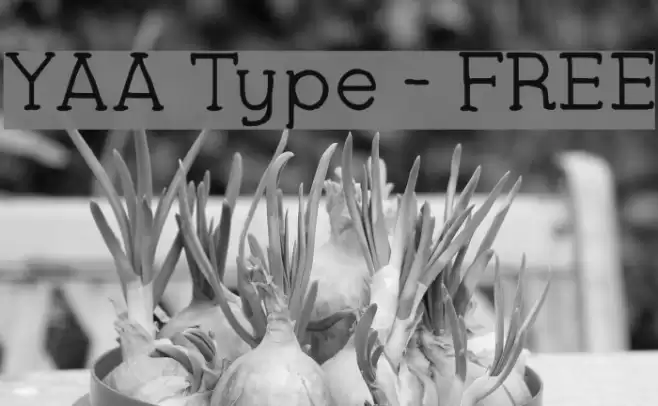 YAA Type - FREE Font examples
