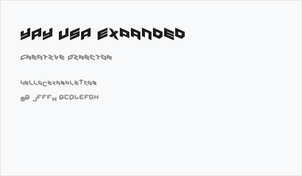 YAY USA Expanded Business Card