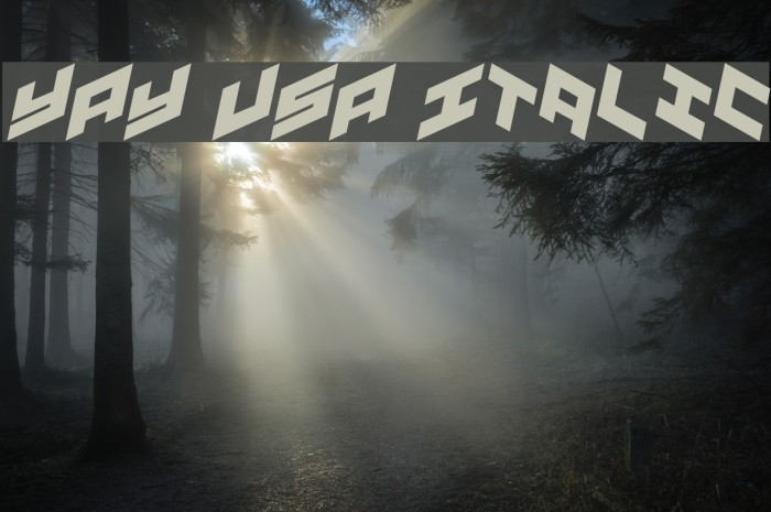 YAY USA Italic Font examples