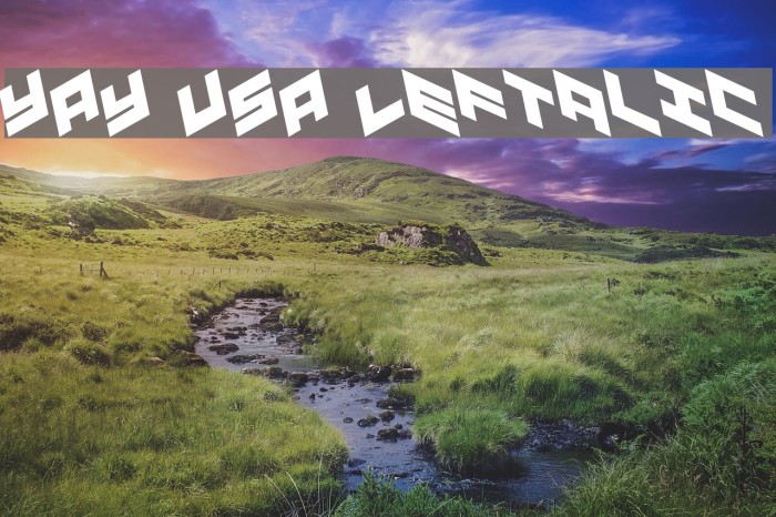 YAY USA Leftalic Font examples