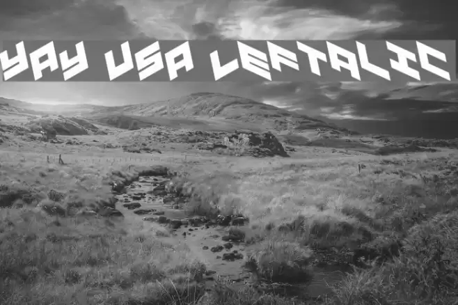 YAY USA Leftalic Font examples
