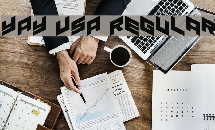 YAY USA Regular Example 1