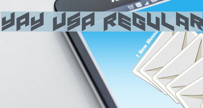 YAY USA Regular Example 2