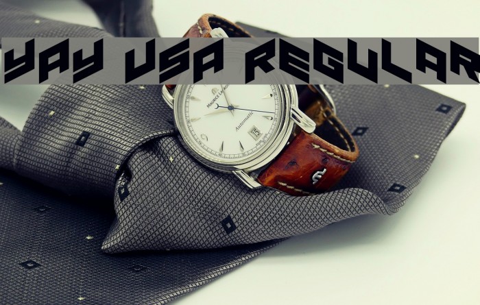 YAY USA Regular Example 3