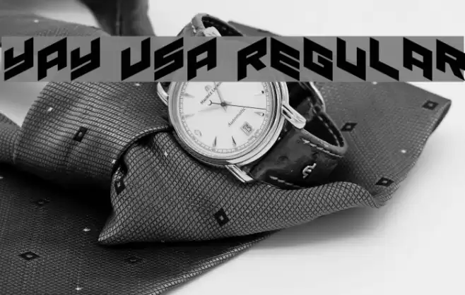 YAY USA Regular Font examples