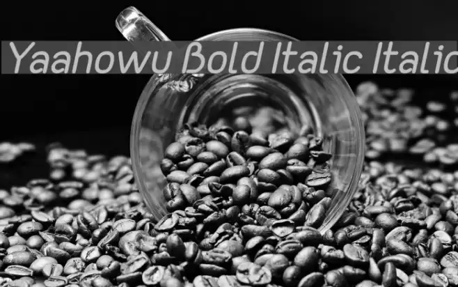 Yaahowu Bold Italic Italic Font examples