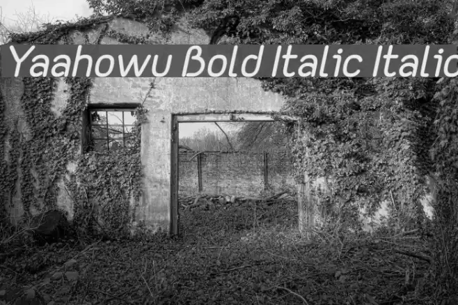 Yaahowu Bold Italic Italic Font examples