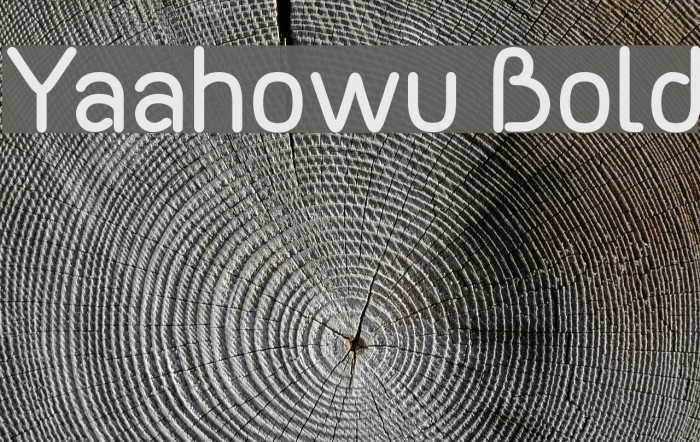 Yaahowu Bold Font examples