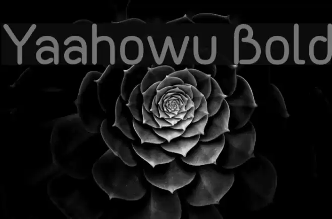 Yaahowu Bold Font examples