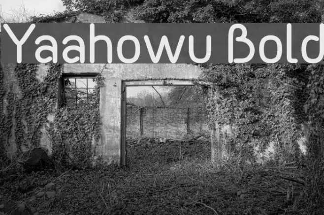 Yaahowu Bold Font examples