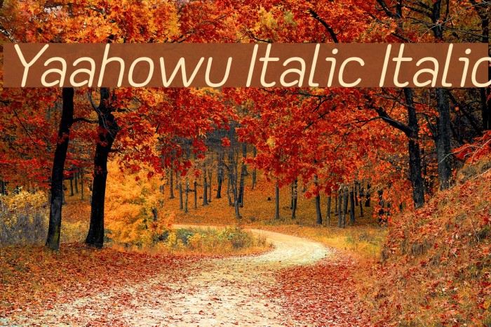 Yaahowu Italic Italic Font examples
