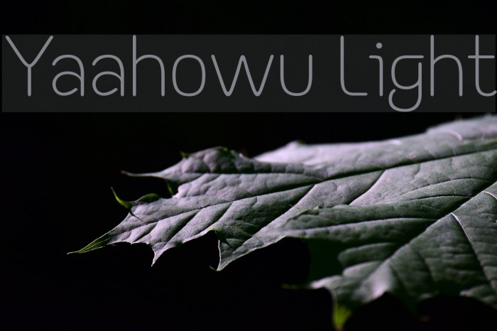Yaahowu Light Font examples