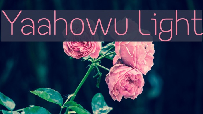 Yaahowu Light Font examples
