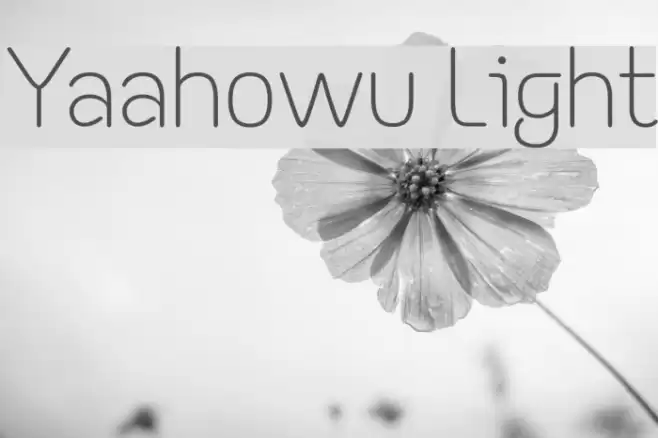 Yaahowu Light Font examples