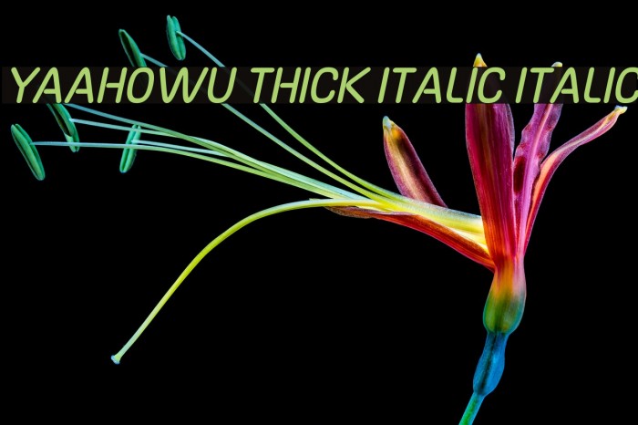 Yaahowu Thick Italic Italic Font examples