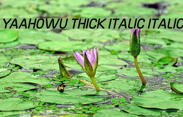 Yaahowu Thick Italic Italic Font examples