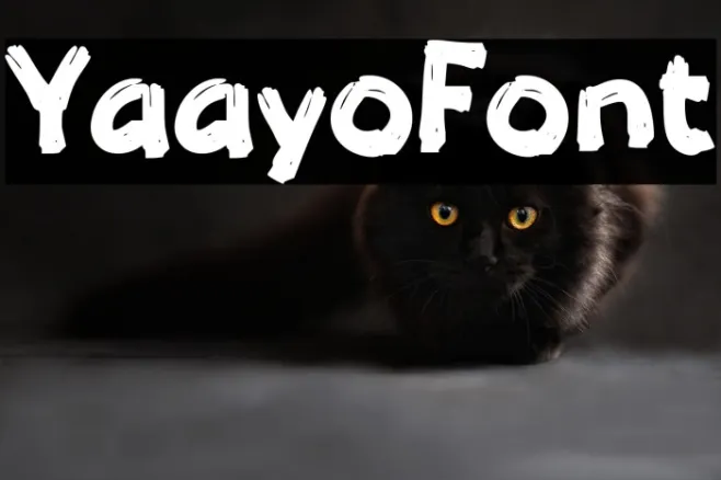 Yaayo Example 2