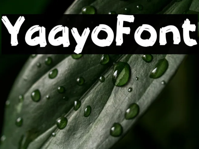 Yaayo Example 3