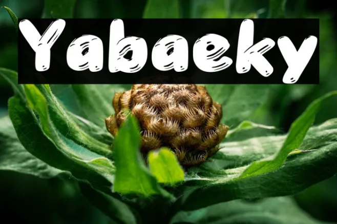 Yabaeky Example 3