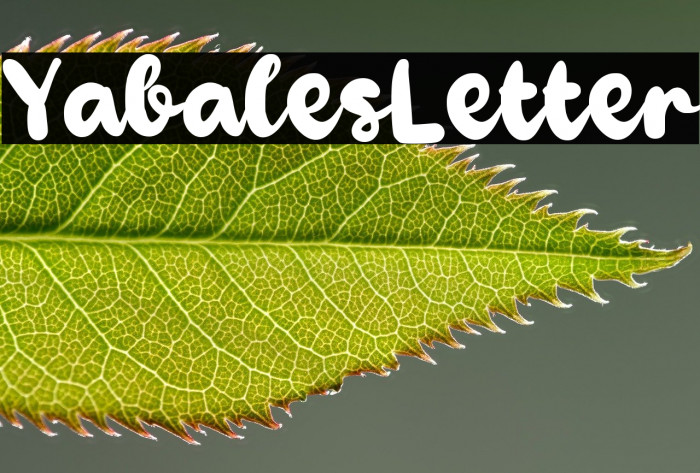 Yabales Letter Example 3