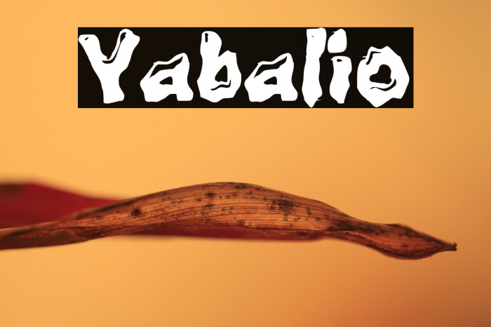 Yabalio Example 2