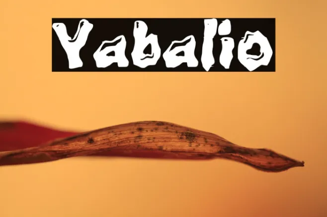 Yabalio Example 2