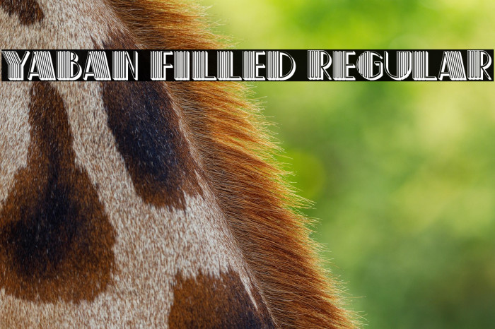 Yaban Filled Regular Example 1