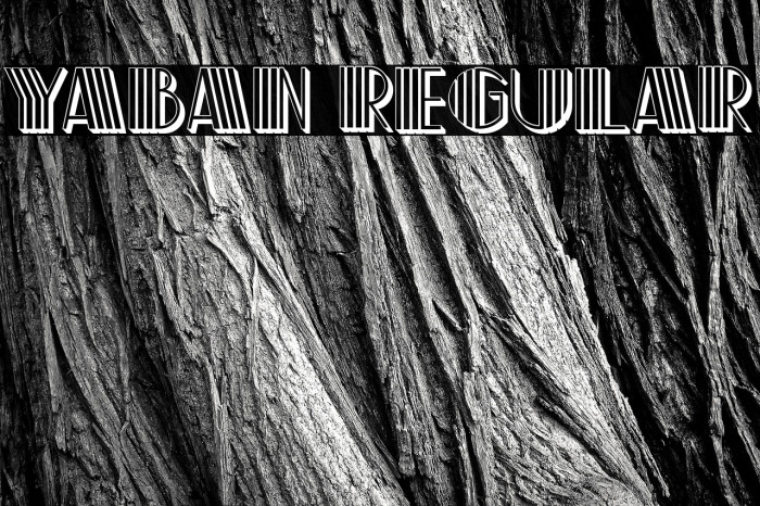 Yaban Regular Example 3