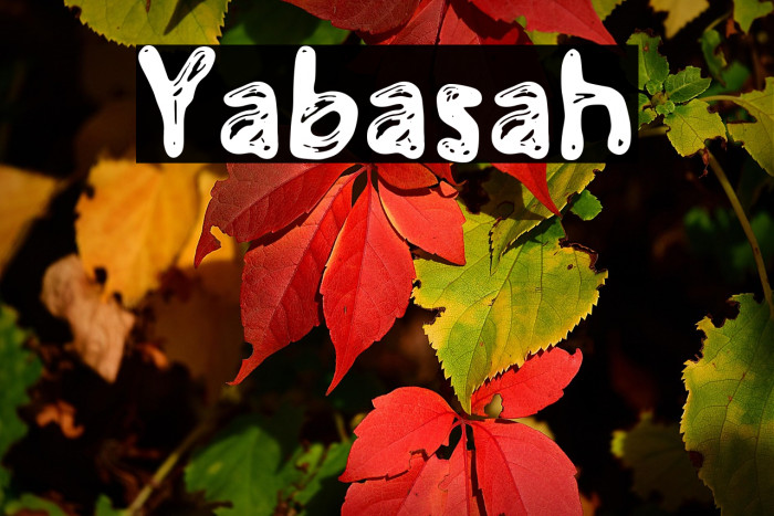 Yabasah Example 2