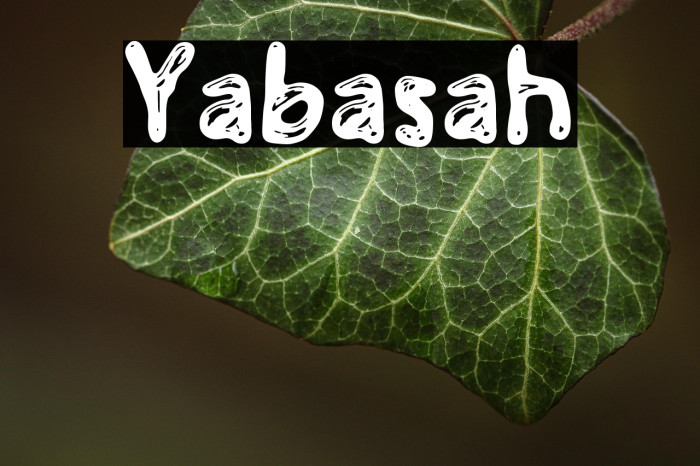 Yabasah Example 3
