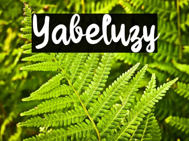 Yabeluzy Example 2