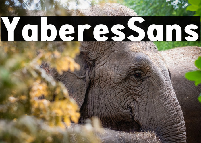 Yaberes Sans Example 2