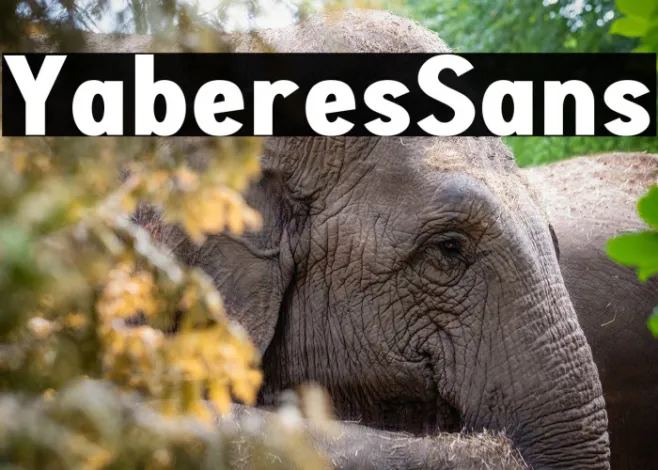 Yaberes Sans Example 2