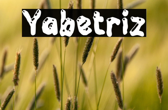 Yabetriz Example 3