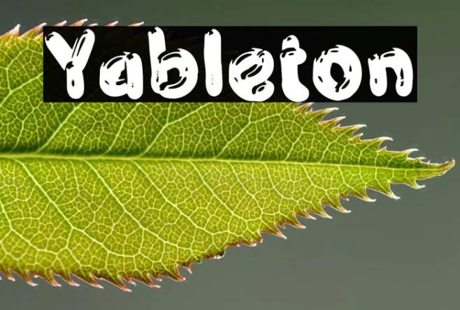 Yableton Example 1