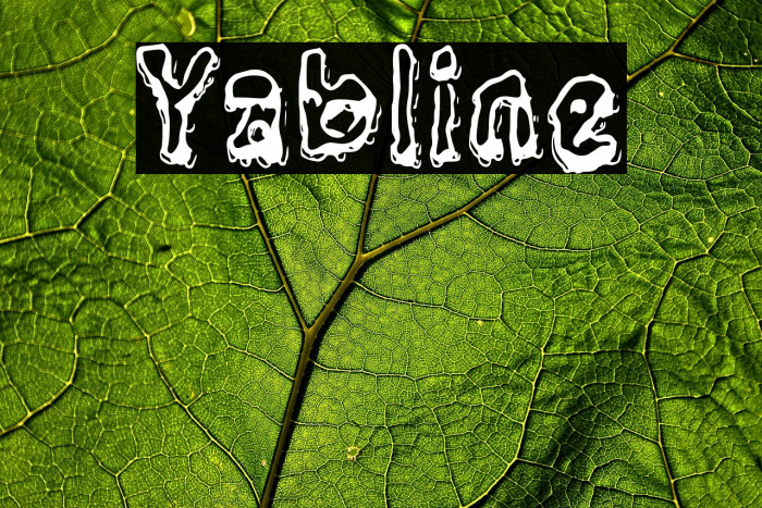 Yabline Example 3