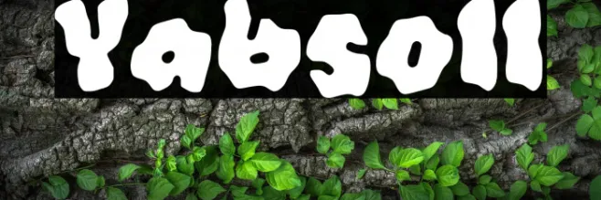 Yabsoll Example 1