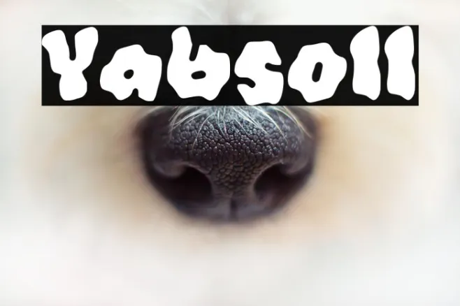 Yabsoll Example 2