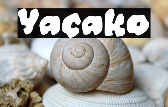 Yacako Example 2