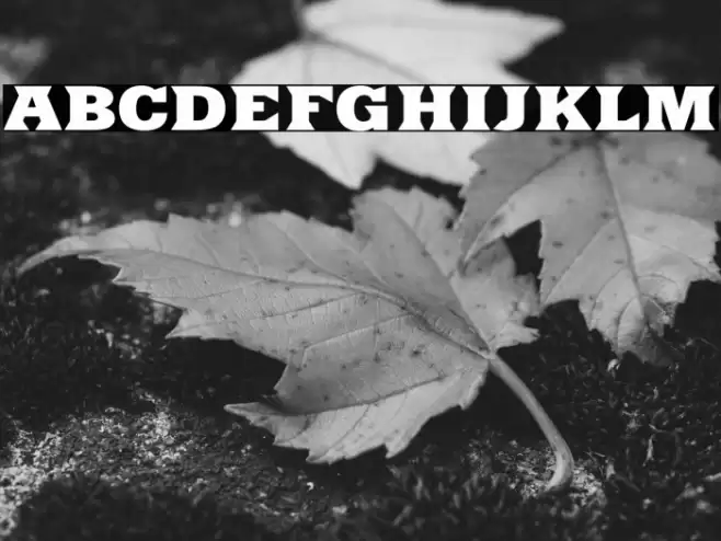 Yacimiento-ExtraBold Fuentes examples