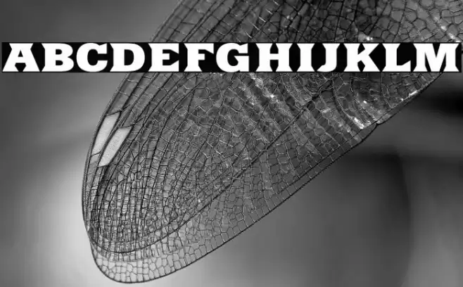 Yacimiento-ExtraBold Fuentes examples