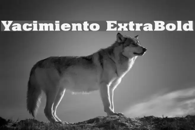 Yacimiento ExtraBold Font examples