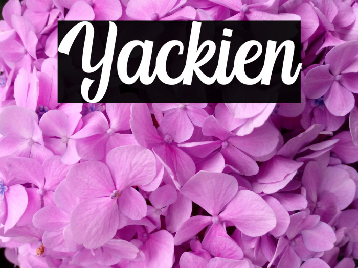 Yackien Example 1