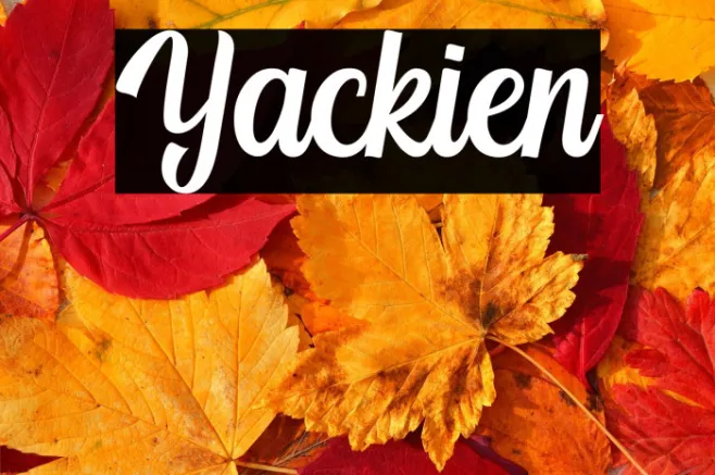 Yackien Example 2