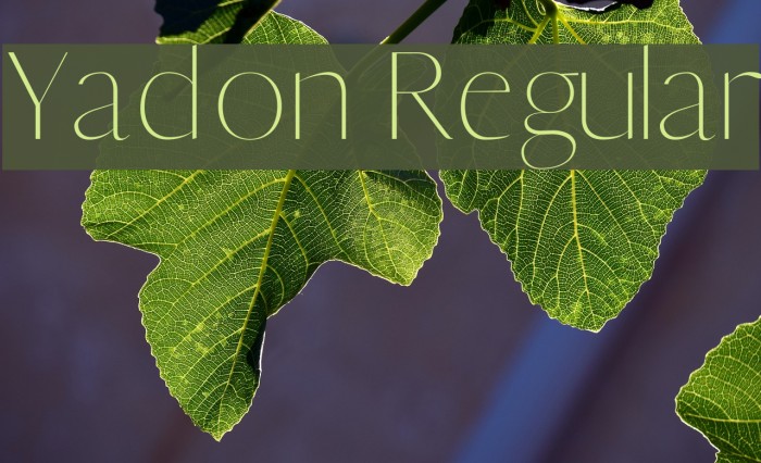 Yadon Regular Font examples
