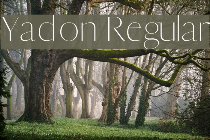 Yadon Regular Font examples