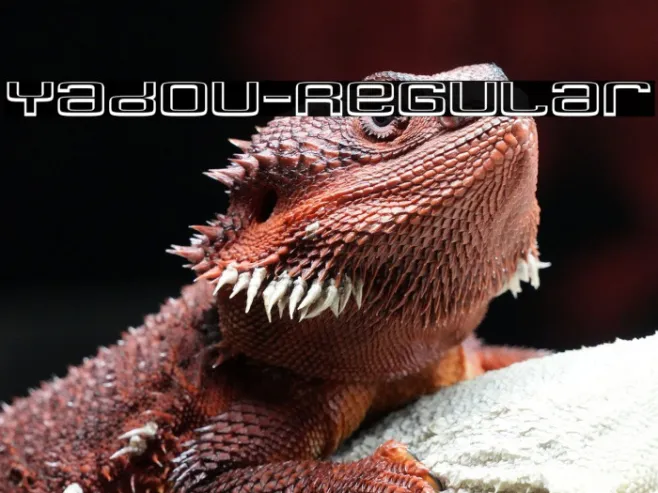 Yadou-Regular Example 1